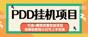 拼多多挂机项目 引流+赚钱双重收益项目(保姆级教程小白可上手实操)-Xiaobei云