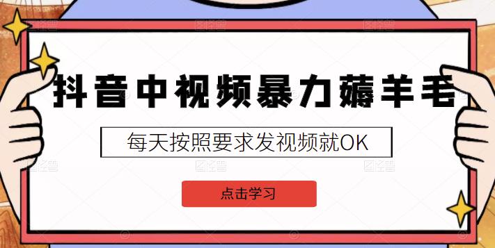 2022抖音中视频暴力薅羊毛白嫖项目：新号每天20块，老号几天几百块，可多号￼-Xiaobei云