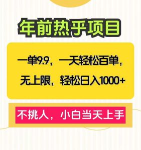 一单9.9，一天百单无上限，不挑人，小白当天上手，轻松日入1000+-Xiaobei云