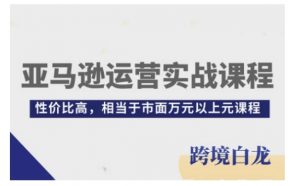 亚马逊运营实战课程，亚马逊从入门到精通，性价比高，相当于市面万元以上元课程-Xiaobei云