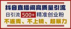 抖音直播间引流创业粉，无需连麦、不用上镜、超暴力，日引流500+高质量精准创业粉-Xiaobei云
