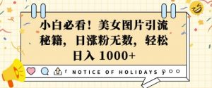 小白必看，美女图片引流秘籍，日涨粉无数，轻松日入几张【揭秘】-Xiaobei云