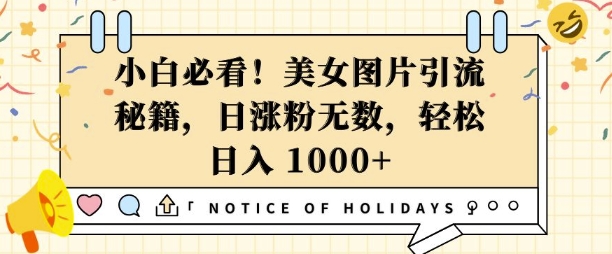 小白必看，美女图片引流秘籍，日涨粉无数，轻松日入几张【揭秘】-Xiaobei云