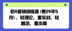 老A营销训练营(更24年12月)，轻理论，重实战，轻概念，重本质-Xiaobei云