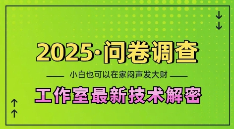2025问卷调查最新工作室技术解密：一个人在家也可以闷声发大财，小白一天2张，可矩阵放大【揭秘】-Xiaobei云