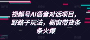 视频号AI语音对话项目，野路子玩法，橱窗带货条条火爆-Xiaobei云
