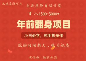 日入1000+ 娱乐项目 全国市场均有很大利润 长久稳定 新手当日变现-Xiaobei云