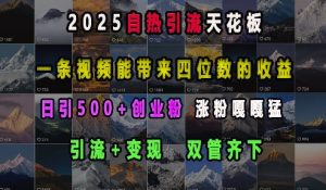 2025自热引流天花板，一条视频能带来四位数的收益，引流+变现双管齐下，日引500+创业粉，涨粉嘎嘎猛-Xiaobei云