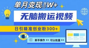 无脑搬运视频号可批量复制，新手即可操作，日引精准创业粉300+，月变现过W 【揭秘】-Xiaobei云