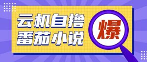 首发云手机自撸小说玩法，10块钱成本可撸200+收益操作简单【揭秘】-Xiaobei云
