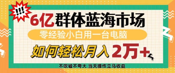 6亿群体蓝海市场，零经验小白用一台电脑，如何轻松月入过w【揭秘】-Xiaobei云