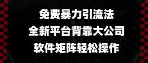 免费暴力引流法，全新平台，背靠大公司，软件矩阵轻松操作-Xiaobei云