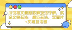 小说推文最新多种玩法详解，实况文案玩法，搬运玩法，双图片+文案玩法等-Xiaobei云