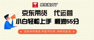 京东带货 代运营 利润55分 告别年终焦虑 年底不打烊 持续现金流-Xiaobei云