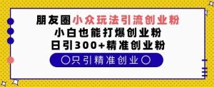 朋友圈小众玩法引流创业粉，小白也能打爆创业粉，日引300+精准创业粉【揭秘】-Xiaobei云
