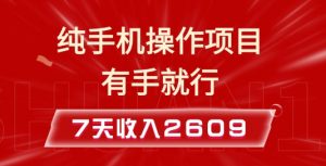 纯手机操作的小项目，有手就能做，7天收入2609+实操教程【揭秘】-Xiaobei云