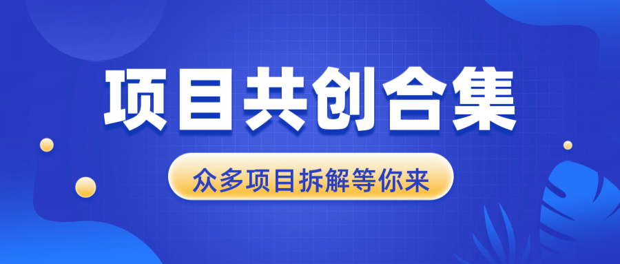 项目共创合集，从0-1全过程拆解，让你迅速找到适合自已的项目-Xiaobei云