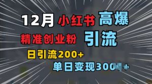 小红书一张图片“引爆”创业粉，单日+200+精准创业粉 可筛选付费意识创业粉【揭秘】-Xiaobei云