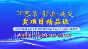 《IP包装·暴力引流·闪电成交卖项目精品课》如何在众多导师中脱颖而出？-Xiaobei云