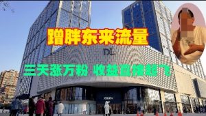 蹭胖东来流量，三天涨万粉，收益直接起飞-Xiaobei云