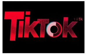 TikTok ads投流秘籍，涵盖tiktok整体投放思路，教你搭建测试计划-Xiaobei云