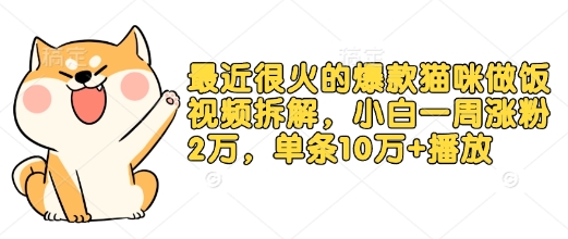 最近很火的爆款猫咪做饭视频拆解，小白一周涨粉2万，单条10万+播放(附保姆级教程)-Xiaobei云
