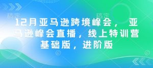 12月亚马逊跨境峰会， 亚马逊峰会直播，线上特训营基础版，进阶版-Xiaobei云