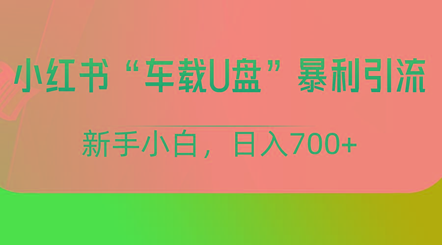 小红书“车载U盘”项目，暴利引流，新手小白轻松日入700+-Xiaobei云