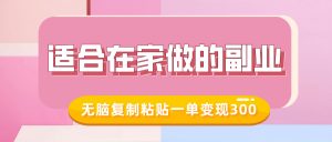 适合在家做的副业，小红书冷知识账号，无脑复制粘贴一单变现300-Xiaobei云