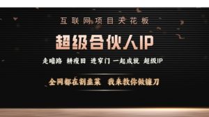 互联网项目天花板，超级合伙人IP，全网都在割韭菜，我来教你做镰刀【仅揭秘】-Xiaobei云