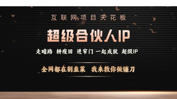 互联网项目天花板，超级合伙人IP，全网都在割韭菜，我来教你做镰刀【仅揭秘】-Xiaobei云