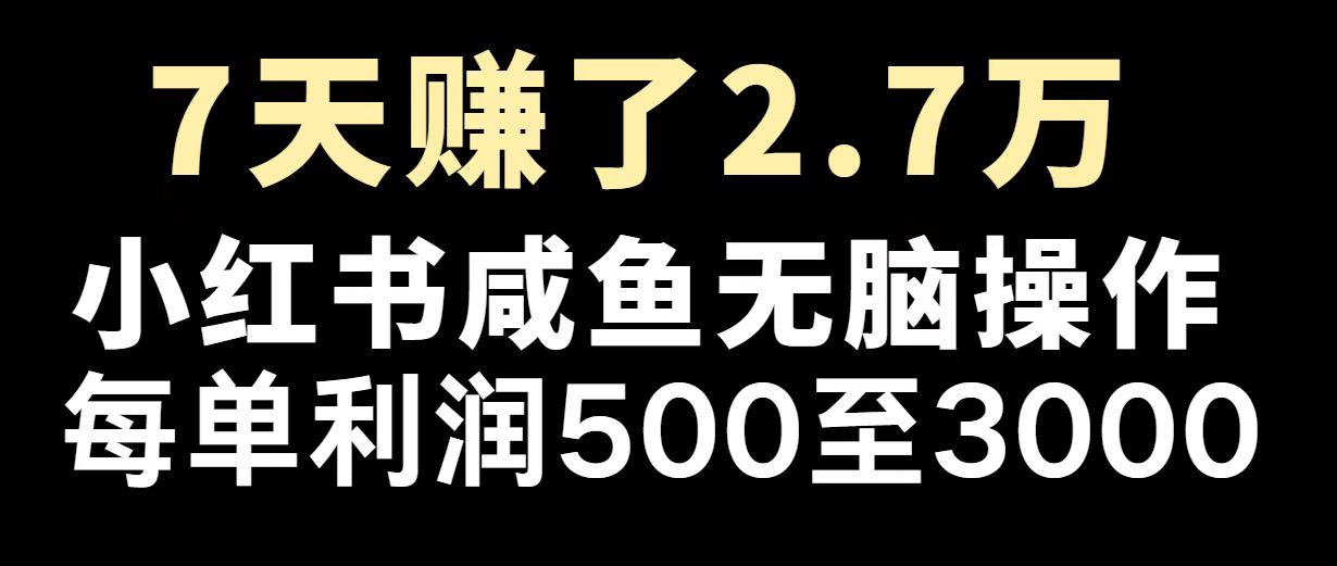 最赚钱项目之一，2025爆火，逆风翻盘！-Xiaobei云