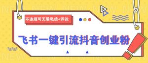 飞书一键引流抖音创业粉，不违规可 无限私信+评论-Xiaobei云