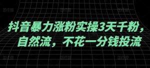 抖音暴力涨粉实操3天千粉，自然流，不花一分钱投流，实操经验分享-Xiaobei云