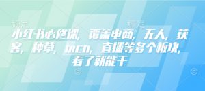 小红书必修课，覆盖电商，无人，获客，种草，mcn，直播等多个板块，看了就能干-Xiaobei云
