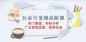 公众号变现高阶课：热门赛道、对标分析、广告主变现流程、矩阵玩法-Xiaobei云