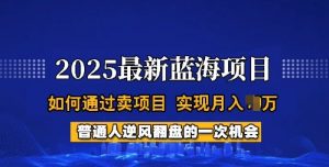 2025蓝海项目，普通人如何通过卖项目，实现月入过W，全过程【揭秘】-Xiaobei云