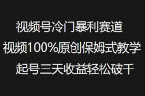 视频号冷门暴利赛道视频100%原创保姆式教学起号三天收益轻松破千-Xiaobei云