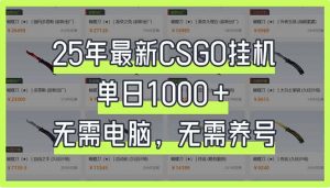 25年最新CSGO挂机系统，单日1000+，无需电脑，无需养号，0基础可上手-Xiaobei云
