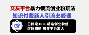 交友平台暴力截流创业粉玩法，知识付费新人引流必修课，日稳定300+精准创业粉丝，逻辑相通可多平台放大-Xiaobei云