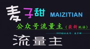 麦子甜2025公众号流量主全网最新玩法核心，手把手教学，成熟稳定，收益有保障-Xiaobei云