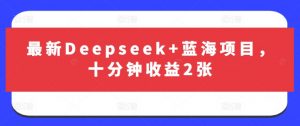 最新Deepseek+蓝海项目，十分钟收益2张-Xiaobei云