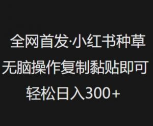 全网首发，小红书种草无脑操作，复制黏贴即可，轻松日入3张-Xiaobei云