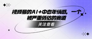 视频号的AI+中老年情感，一个被严重低估的赛道-Xiaobei云