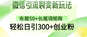 微信引流裂变新玩法：布局50+长尾词矩阵，轻松日引300+创业粉-Xiaobei云