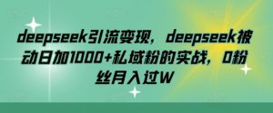 deepseek引流变现，deepseek被动日加1000+私域粉的实战，0粉丝月入过W-Xiaobei云