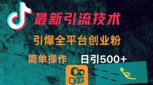 最新引流方法，引爆全平台的一个创业粉，简单操作日引300+-Xiaobei云