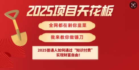 2025项目天花板普通人如何通过知识付费，实现财F自由【揭秘】-Xiaobei云