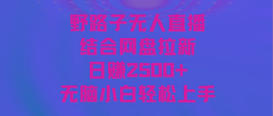无人直播野路子结合网盘拉新，日赚2500+多平台变现，小白无脑轻松上手操作-Xiaobei云