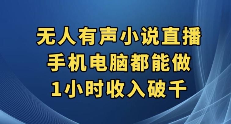 抖音无人有声小说直播，手机电脑都能做，1小时收入破千【揭秘】-Xiaobei云